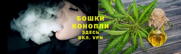 мдпв Володарск