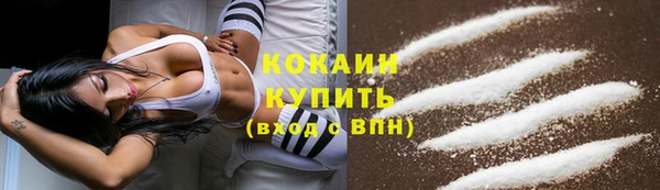 дмт Верея