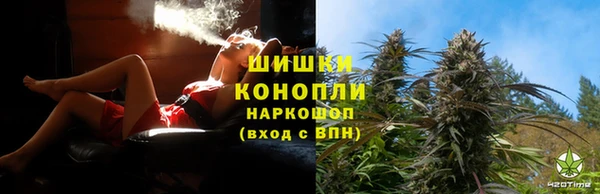 мдпв Володарск