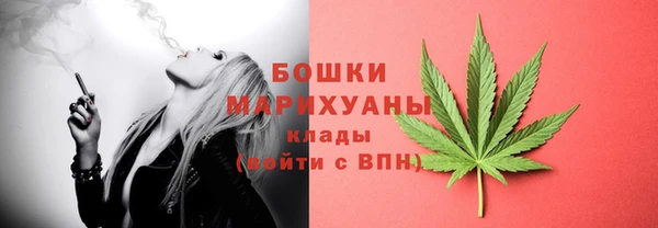 мдпв Володарск