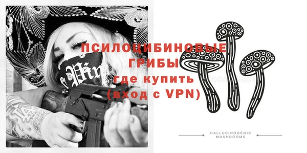 дмт Верея