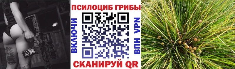 Псилоцибиновые грибы GOLDEN TEACHER Нариманов